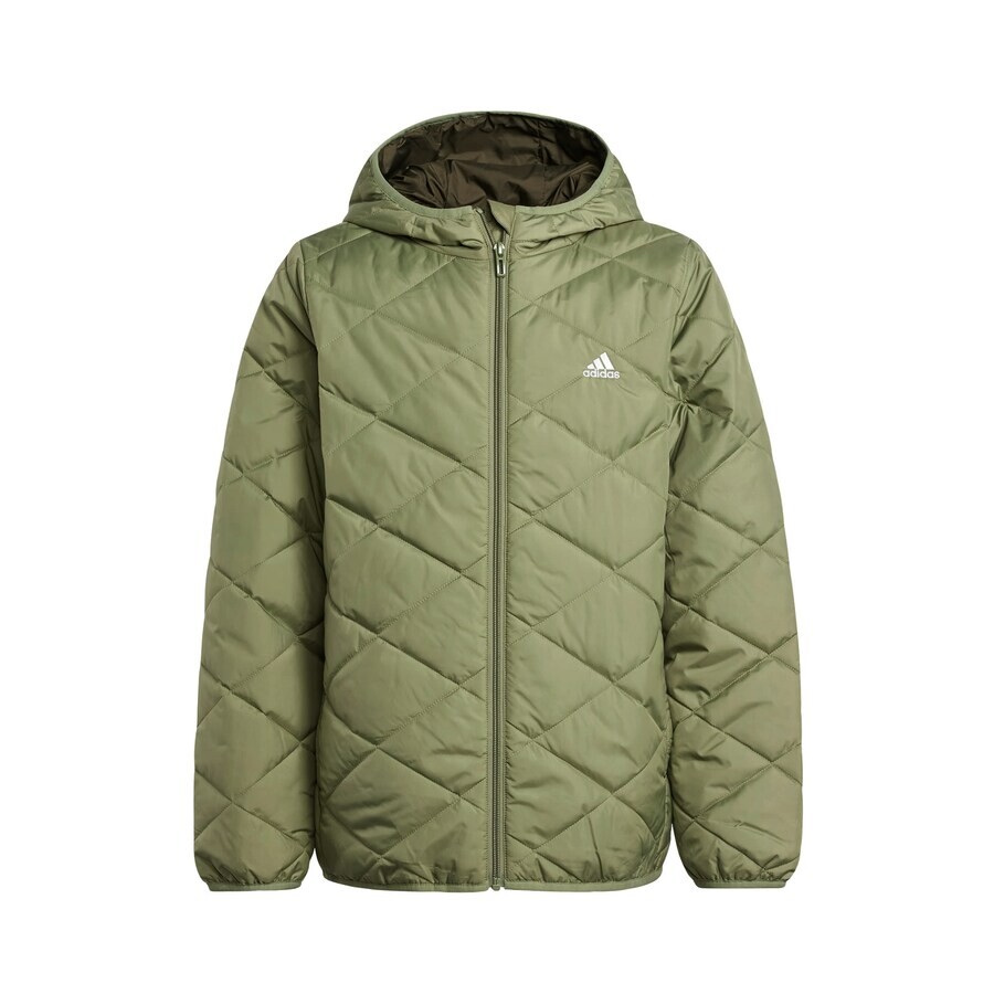 

Куртка ADIDAS SPORTSWEAR Between-Season, зеленый