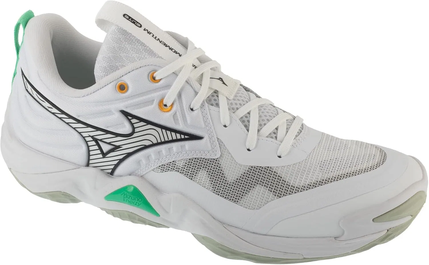 Мужские волейбольные кроссовки Mizuno Mizunov, White