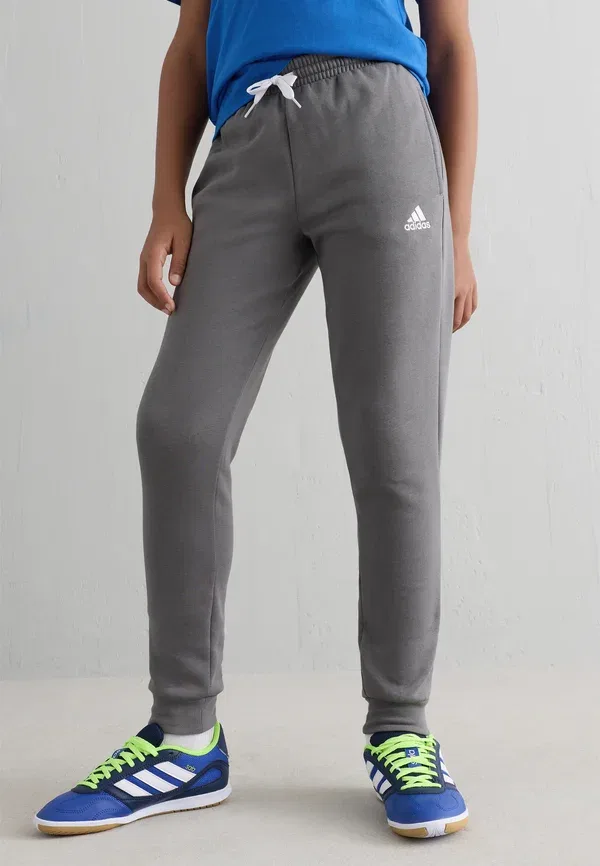 Спортивные штаны Adidas Performance Entrada 22, серый