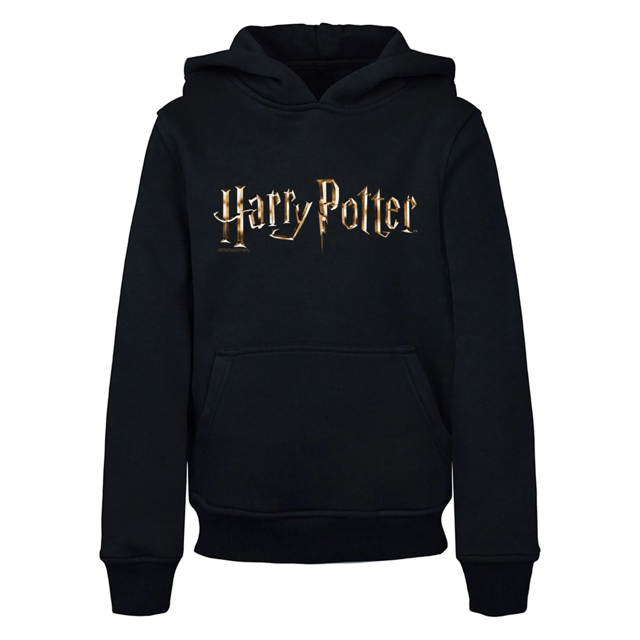 

Толстовка ABSOLUTE CULT с капюшоном «ABSOLUTE CULT Men's Kids Harry Potter - Color Logo Basic Hoody», черный