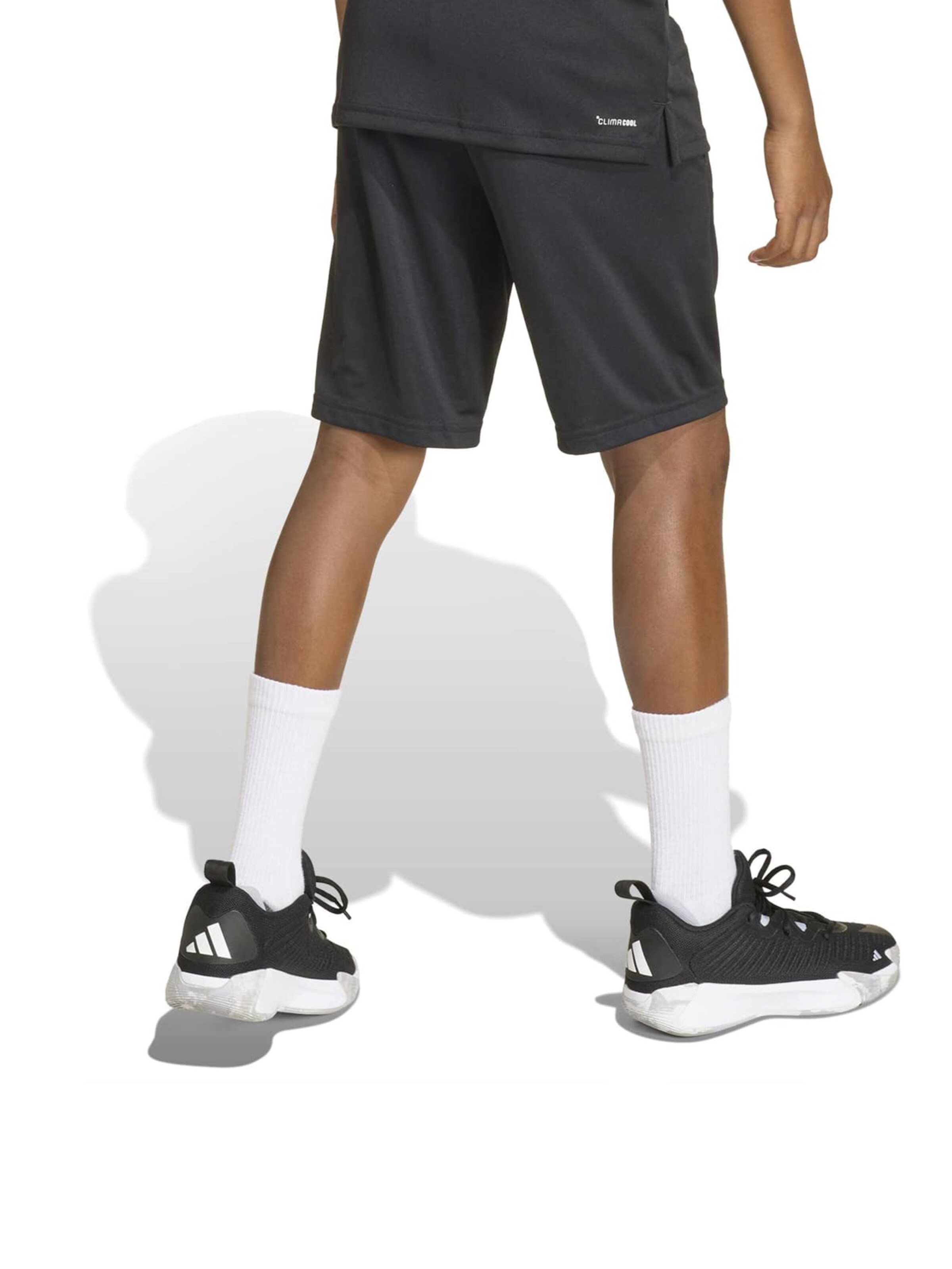 Adidas Sportswear Шорты для тренировок Regular 'TR-ES' черные — фото 3