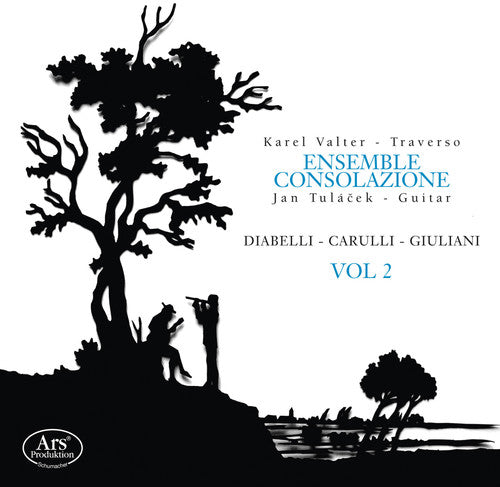 

CD диск Carulli / Ensemble Consolazione: Diabelli / Carulli / Giuliani