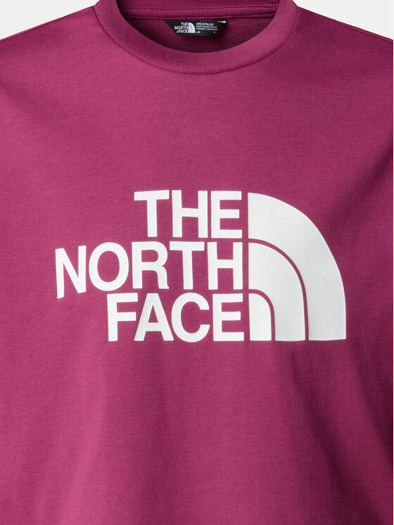 Футболка свободного кроя Easy NF0A8DRQ The North Face, розовый — фото 3