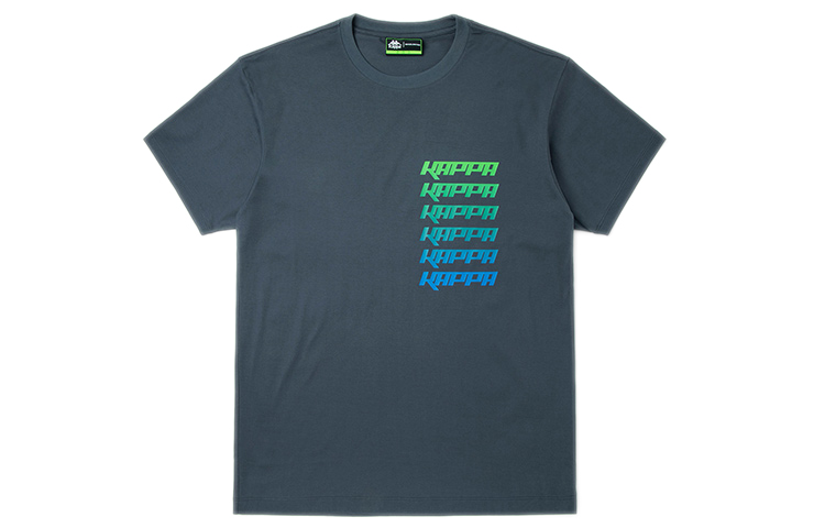 

Футболка мужская с круглым вырезом, умеренный прямой крой Kappa, серый