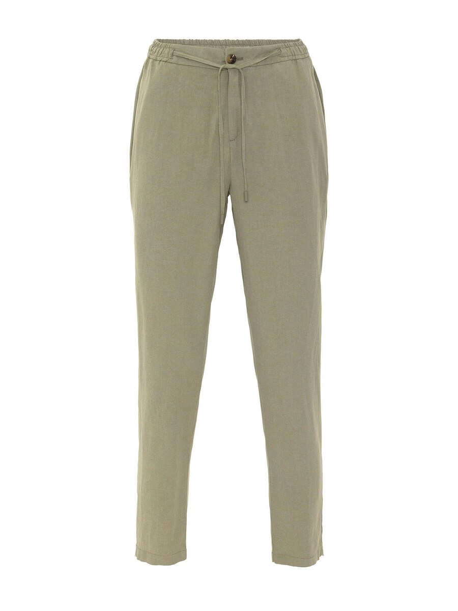 

Обычные брюки Antioch, хаки