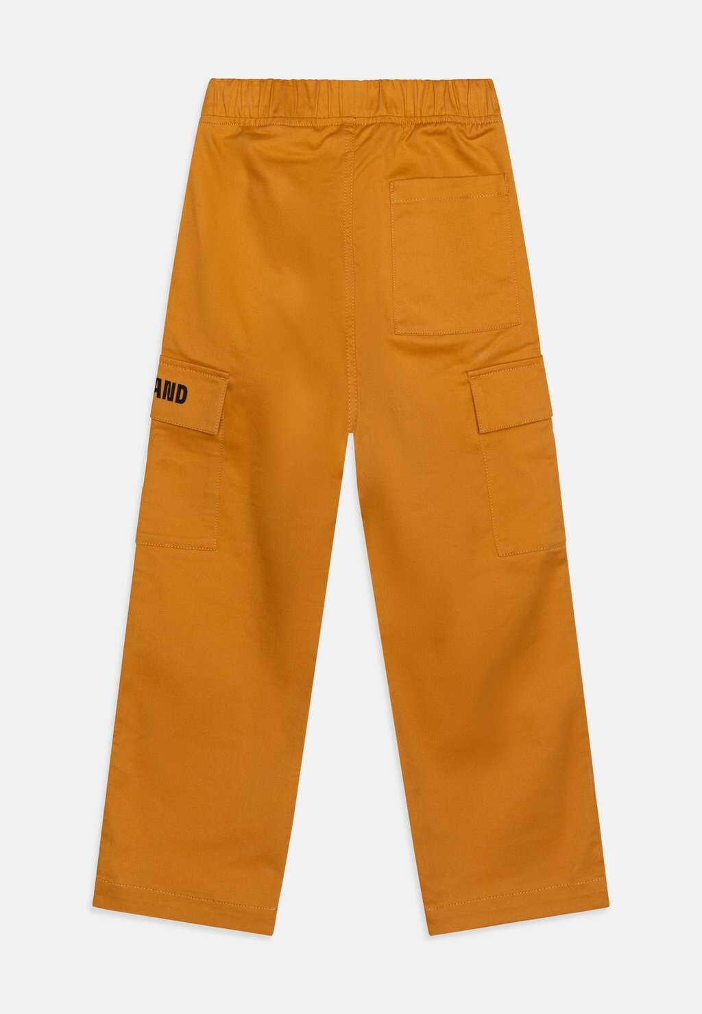 

Брюки-карго TROUSERS Timberland, охра