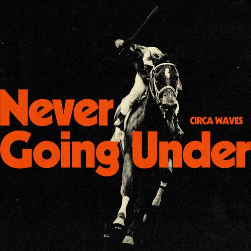 

Виниловая пластинка Circa Waves - Never Going Under