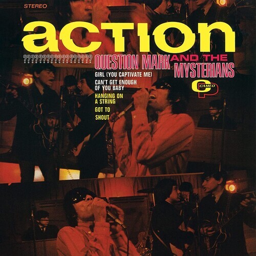 

Виниловая пластинка Question Mark & Mysterians: Action