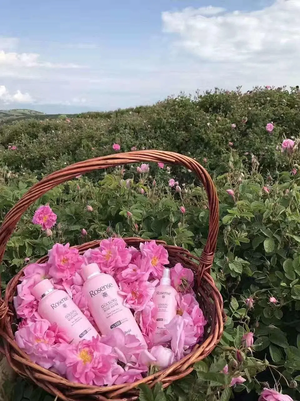 Тоник для лица Rosense Rose Water, 300 мл, 2 шт, без отдушек — фото 3