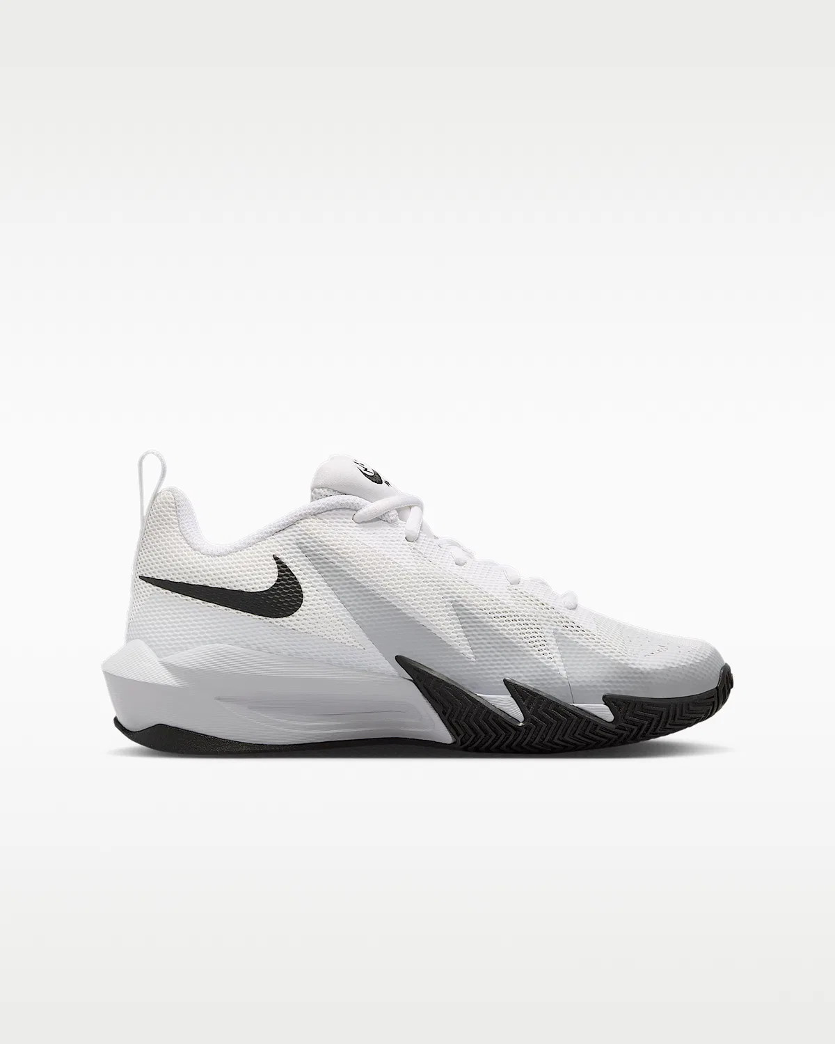 Кроссовки баскетбольные Nike S.T. Dynamite для старших детей, White/Summit White/Pure Platinum/Black — фото 3