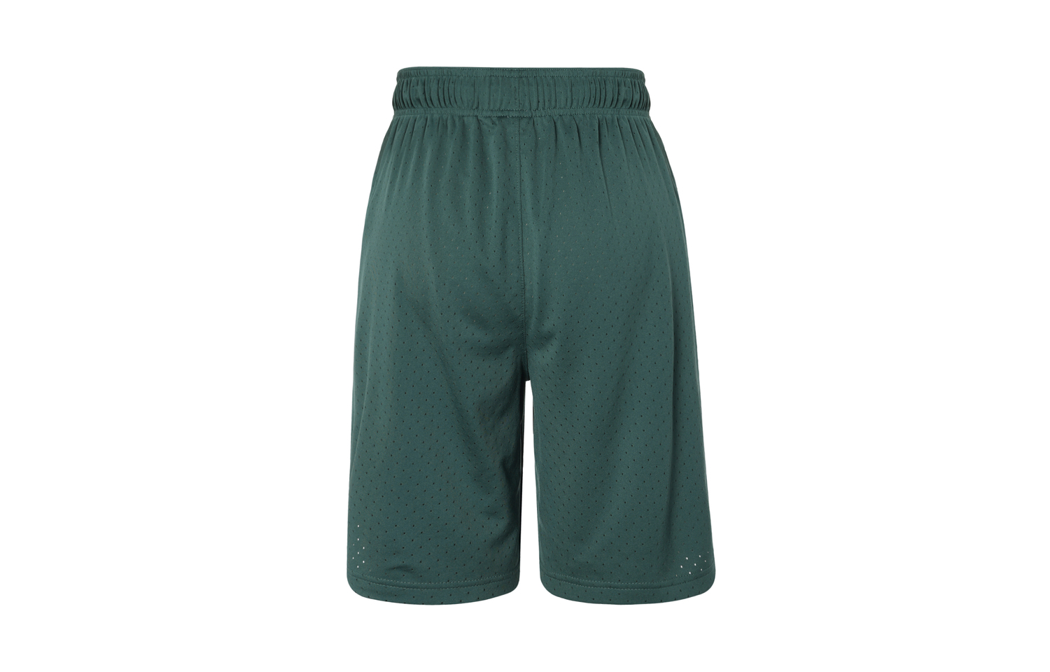 Мужские спортивные шорты Dri-FIT Oxidized Green/White Jordan — фото 3