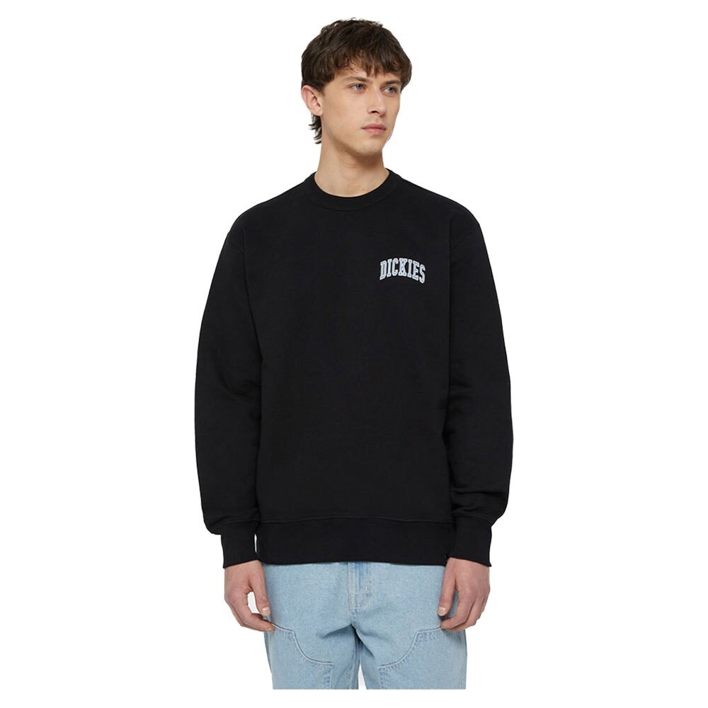 

Толстовка Dickies Aitkin Chest, черный