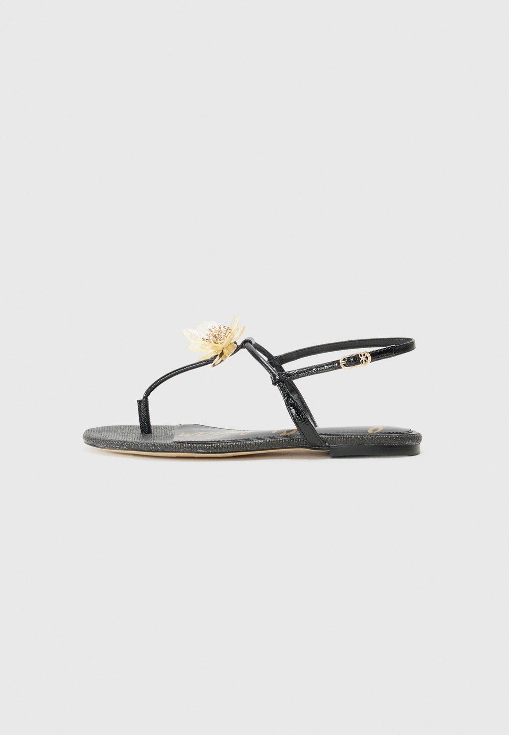 Шлепанцы EDEN Sam Edelman, черный