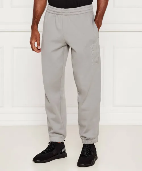 

Спортивные штаны Modern fit Ea7, серый