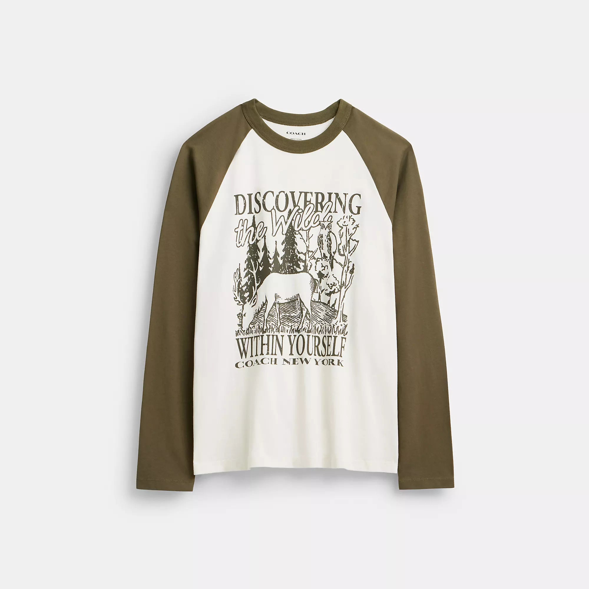 

Футболка с длинным рукавом и круглым вырезом Coach Outlet Wild Raglan из органического хлопка, кремовый/многоцветный