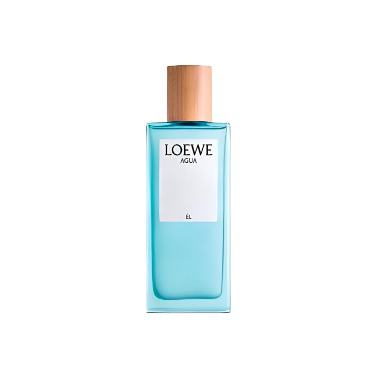 Dior Homme туалетная вода мужская парфюмерия фруктовый аромат 50 мл/100 мл/75 мл подарок для парня LOEWE — фото 2