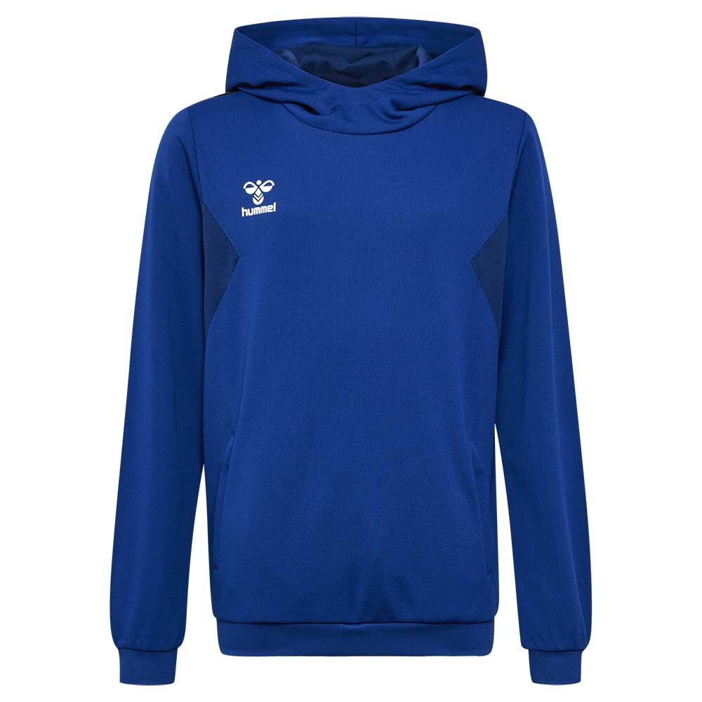 Худи Hummel Authentic PL, синий