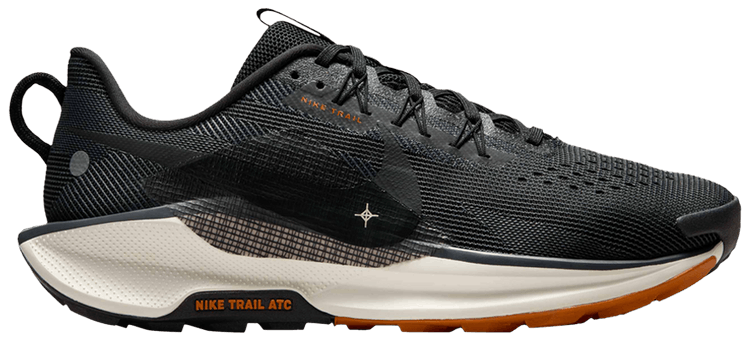 

Кроссовки Nike Pegasus Trail 5 'Black Monarch', черный