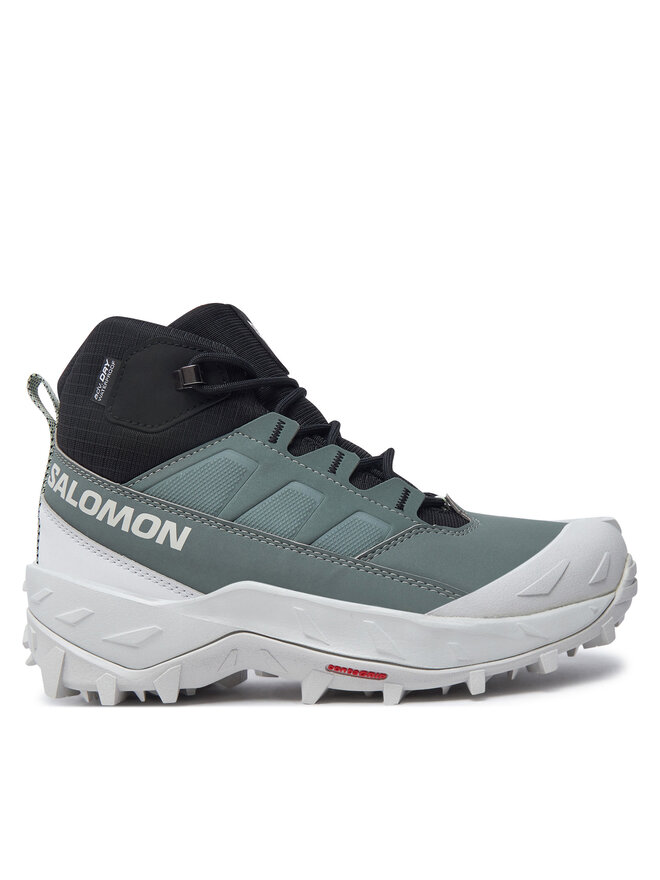 Треккинговые кроссовки Crosstrak Waterproof L47570400 Salomon, зеленый