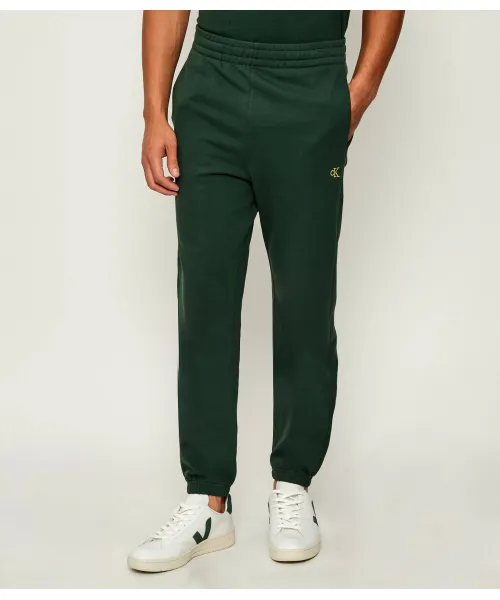 

Спортивные штаны Regular fit Calvin Klein Jeans, зеленый