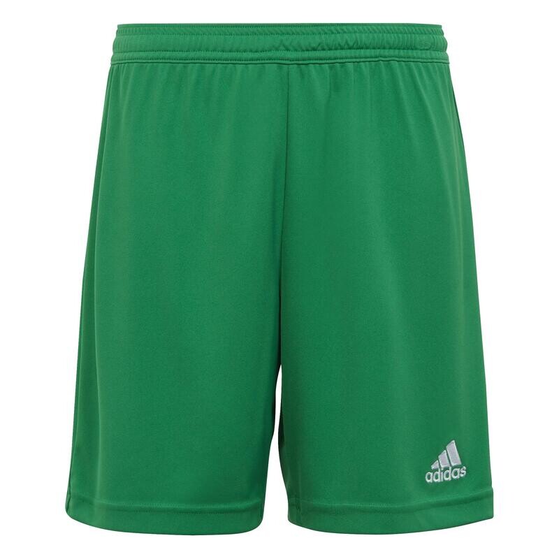 

Футбольные шорты Adidas, зеленый