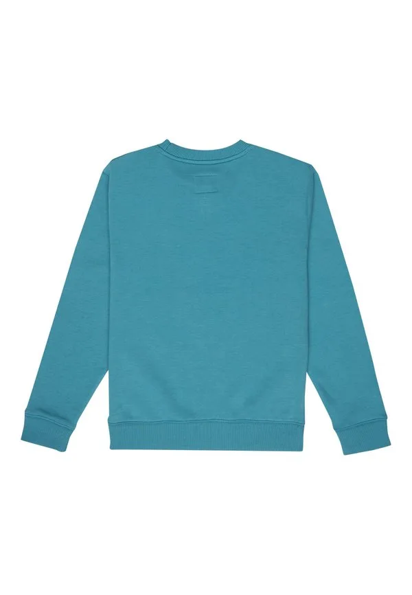Толстовка patch it für jungen 816 Dc Shoes, Bmg Storm Blue — фото 2