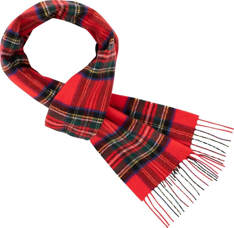 

Шарф Aimé Leon Dore Tartan Cashmere 'Dress Gordon', разноцветный