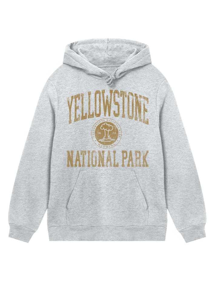 

Толстовка с капюшоном Национальные парки США Йеллоустоун, Вайоминг серо-меланжевого цвета F4NT4STIC