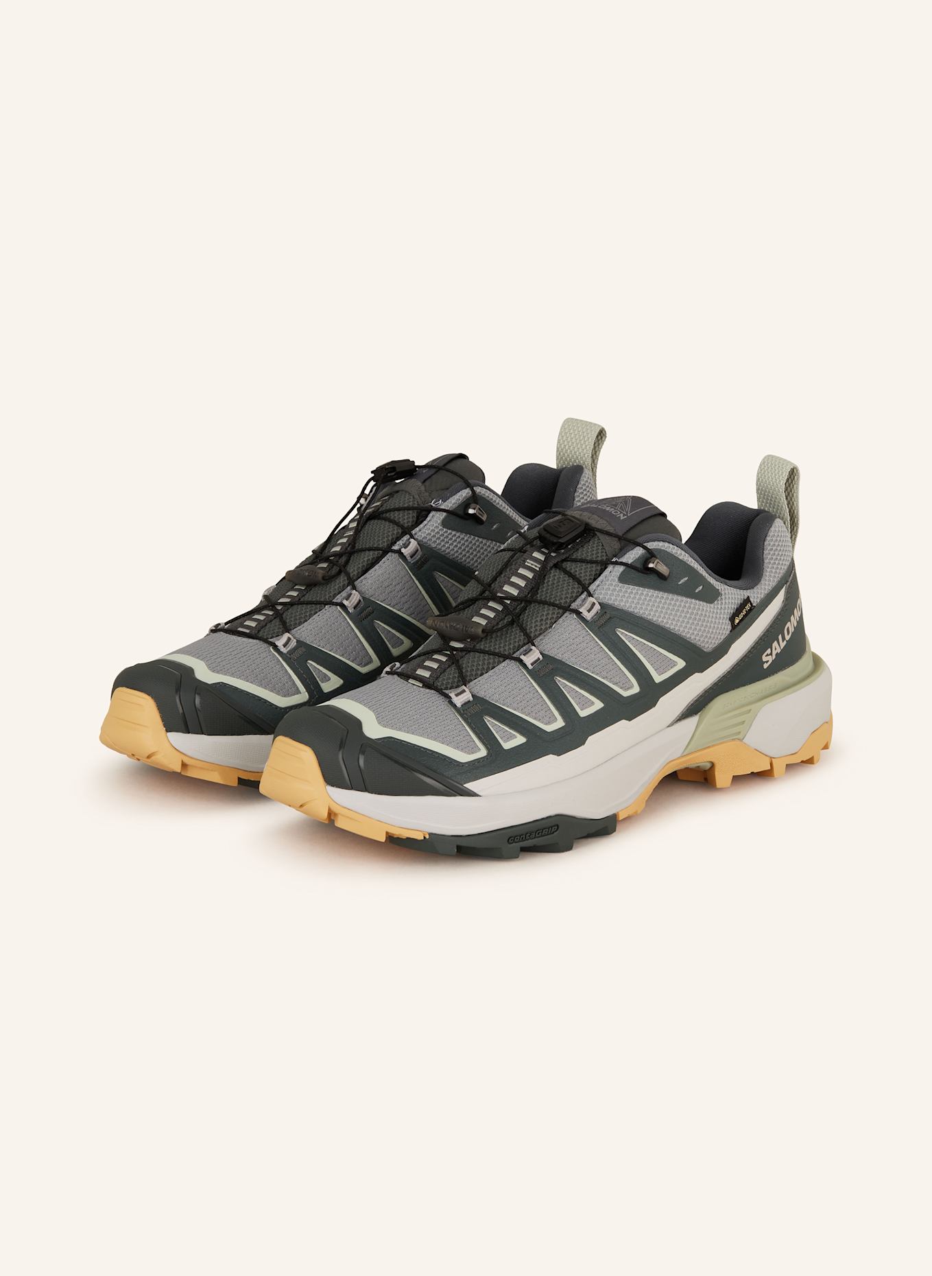 

Кроссовки для походов x ultra 360 edge gtx Salomon, мультиколор