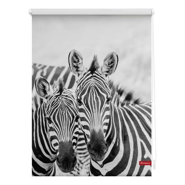 

Рулонные шторы Lichtblick Zebra, 120x150x6 см, черно-белый