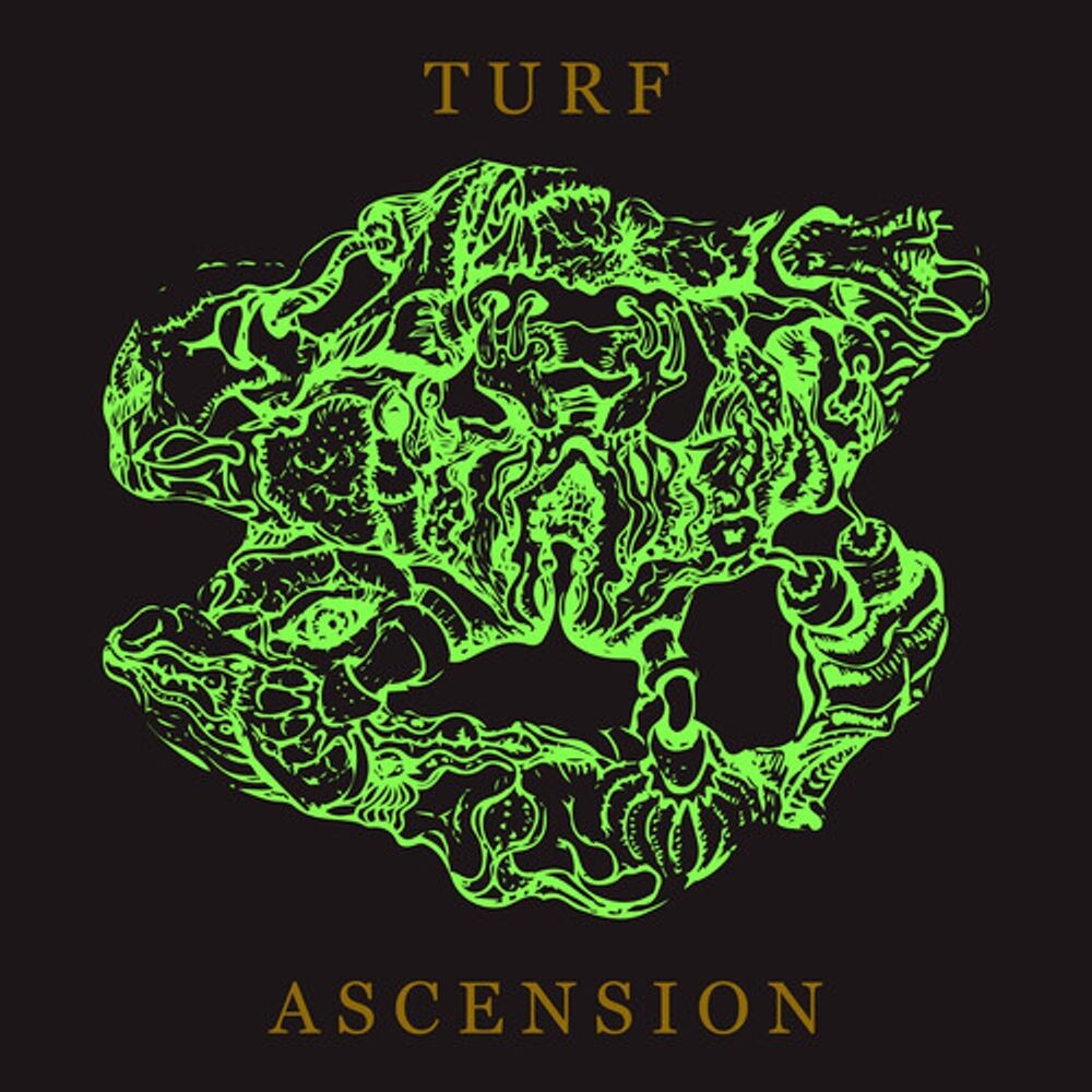 

Диск CD Turf Ascension - Bubblemath