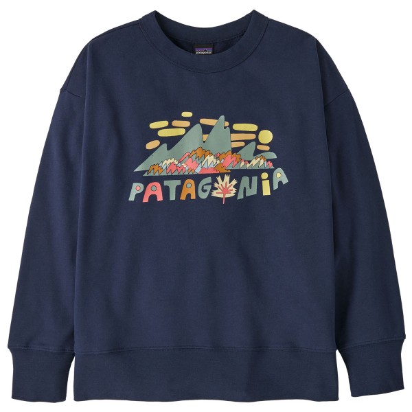 

Детская толстовка-пуловер Patagonia, синий