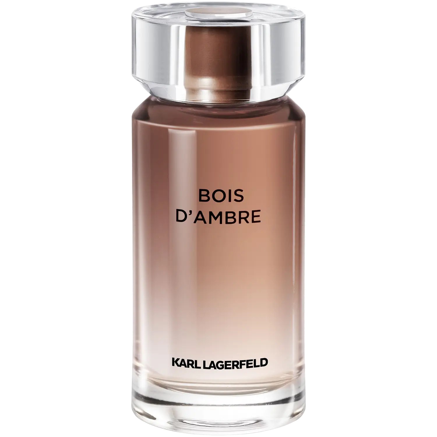 

Мужская туалетная вода Karl Lagerfeld Bois D'Ambre, 100 мл