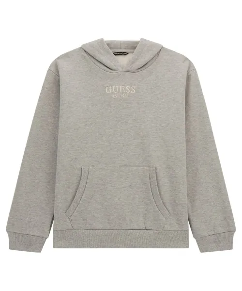 

Толстовка Regular fit Guess, серый