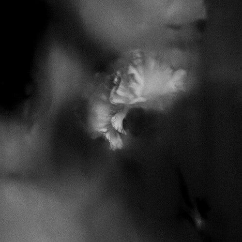 

CD диск Holding Absence: Holding Absence