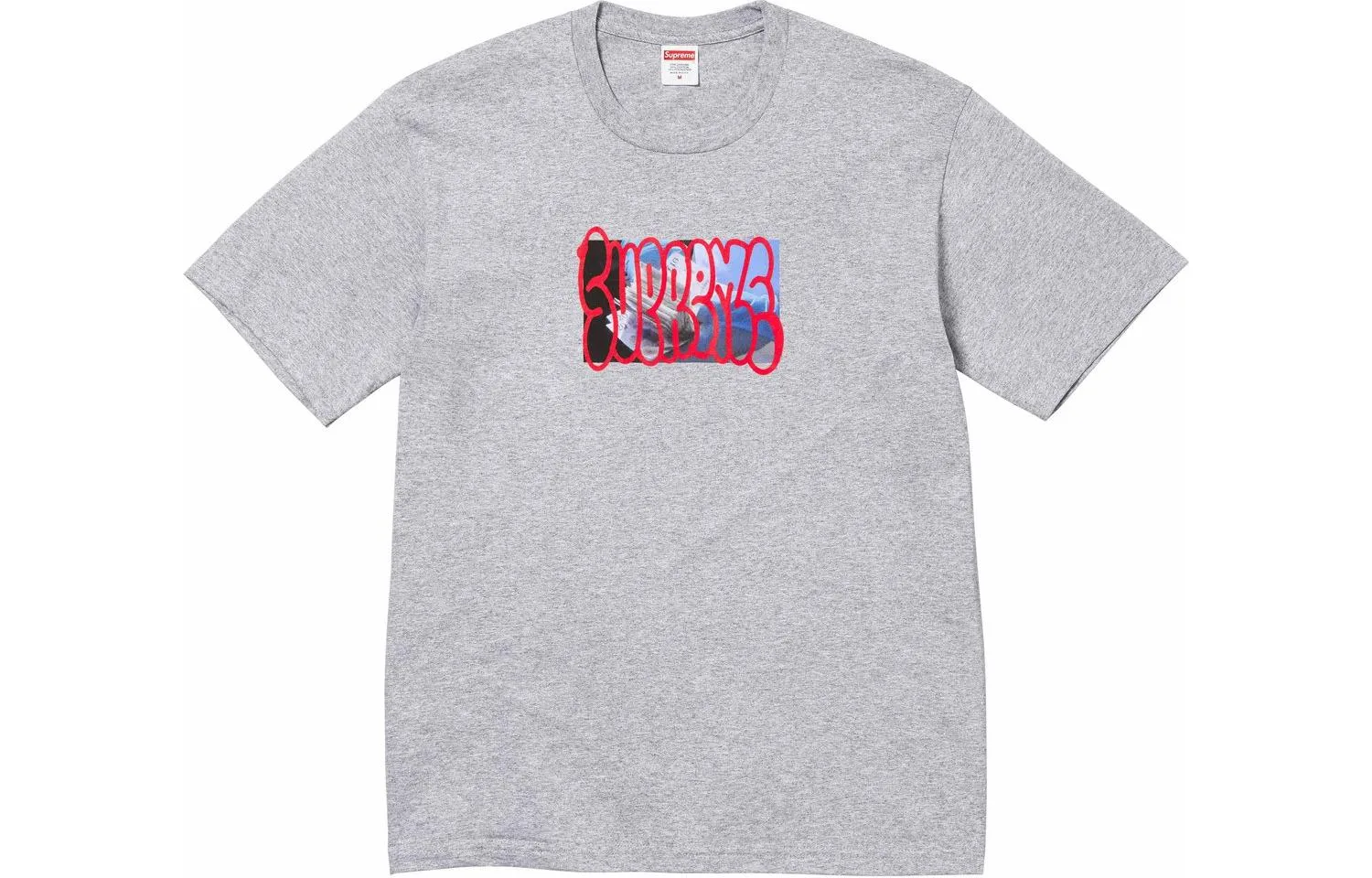 Футболка с принтом Payment Supreme, Gray/Heather Grey