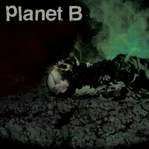 

Виниловая пластинка Planet B: Planet B