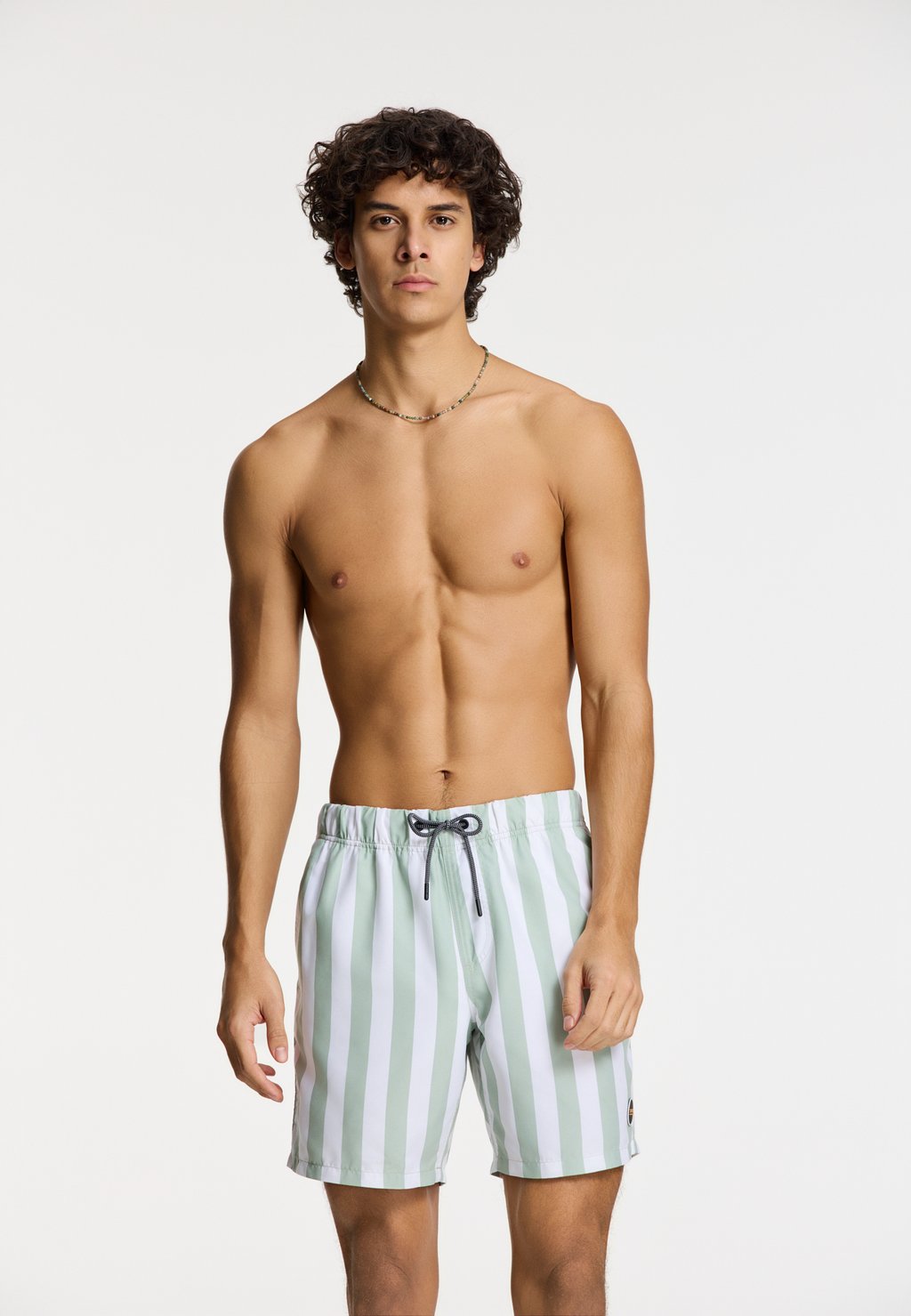 

Шорты для плавания REGULAR FIT BROAD STRIPE Shiwi, зеленый