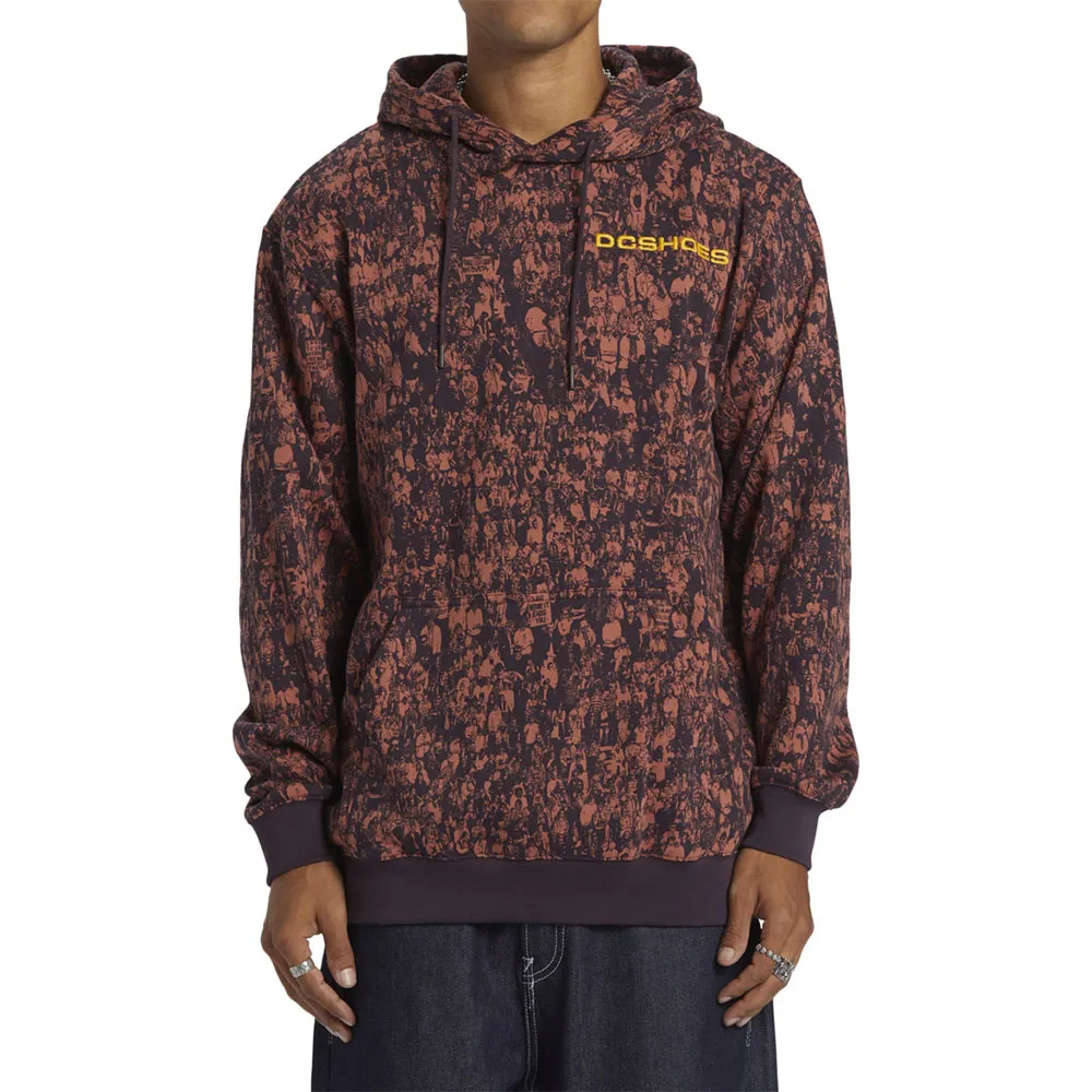 

Худи Dc Shoes Shuttle, коричневый