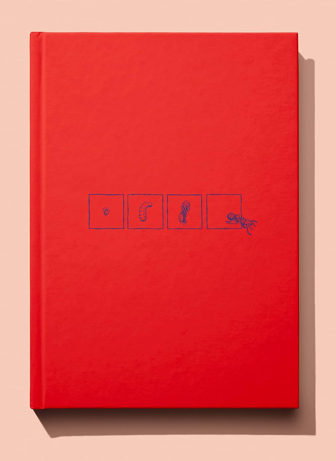 

La Révolution des fourmis (PEPITES CLUB)