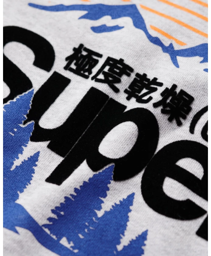 Худи с графическим принтом для активного отдыха Superdry, серый — фото 3
