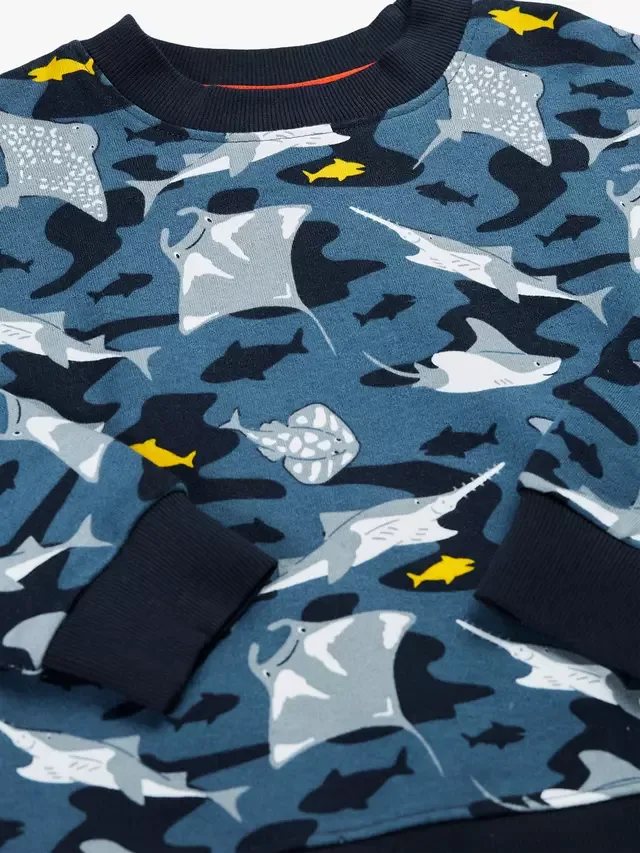 Детская толстовка из превосходного хлопкового флиса, Ray Fever Frugi — фото 3