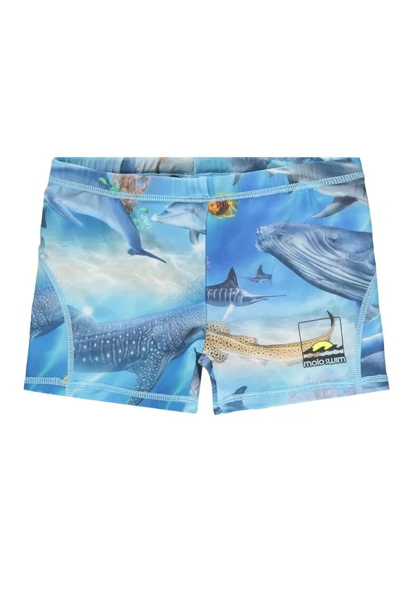 Плавательные шорты norton Molo, Air Brush Ocean