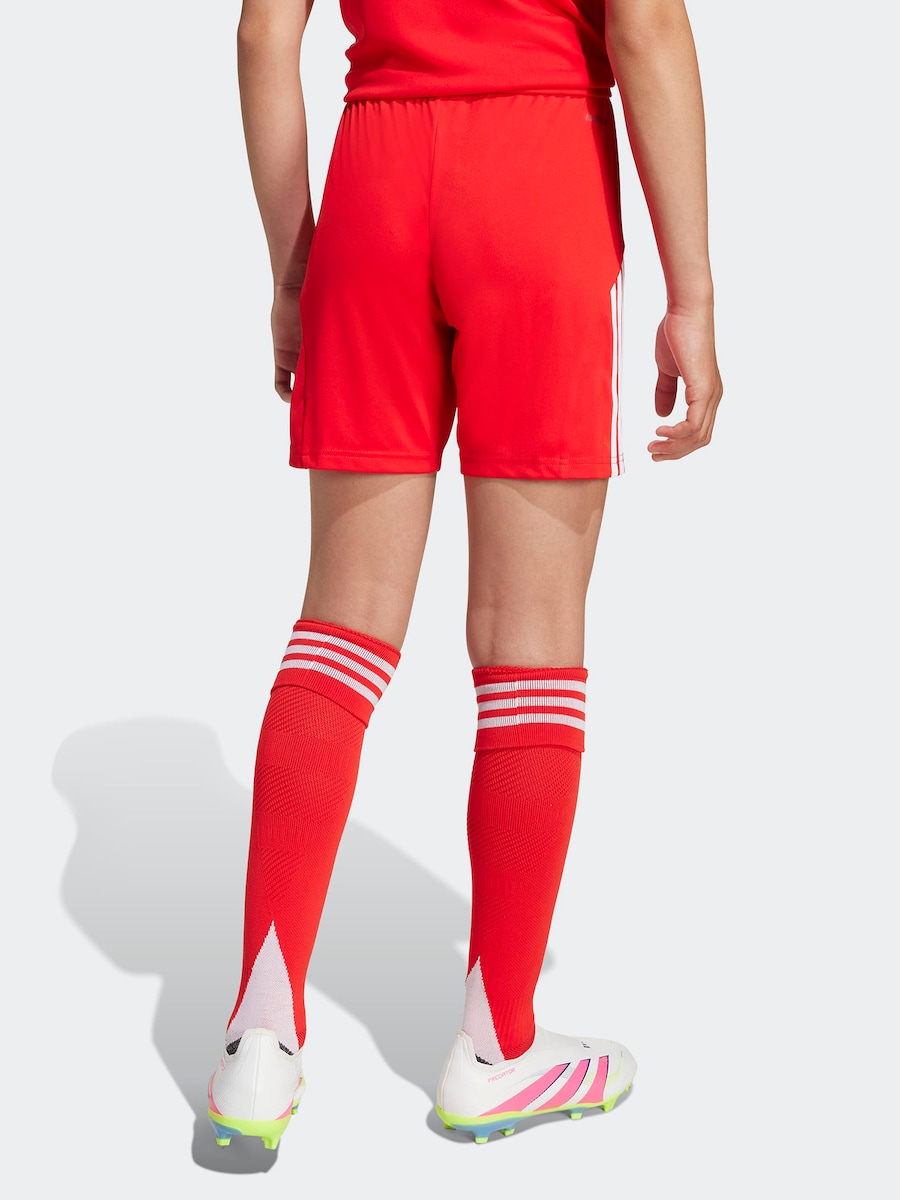 Обычные спортивные штаны ADIDAS PERFORMANCE FCB, красный — фото 4