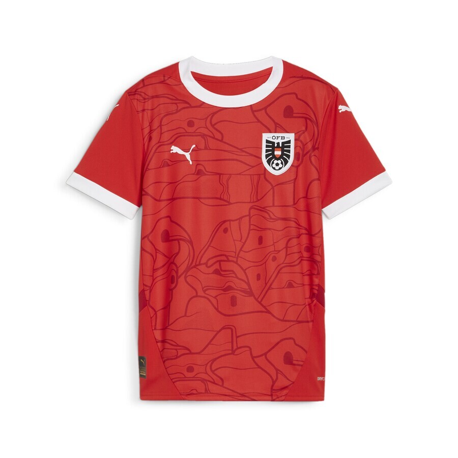 

Спортивный топ PUMA Performance Shirt Österreich 2024, красный