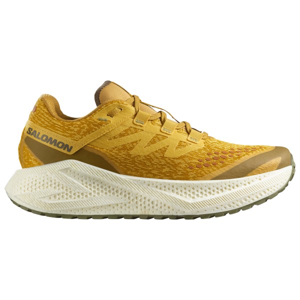 

Aero glide 3 grvl - кроссовки для бега Salomon, мультиколор