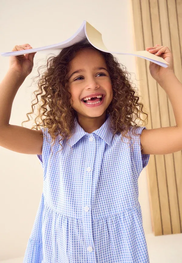 Платье-рубашка Regular fit Next, rich school gingham tiered collar shirt dress, синий — фото 2