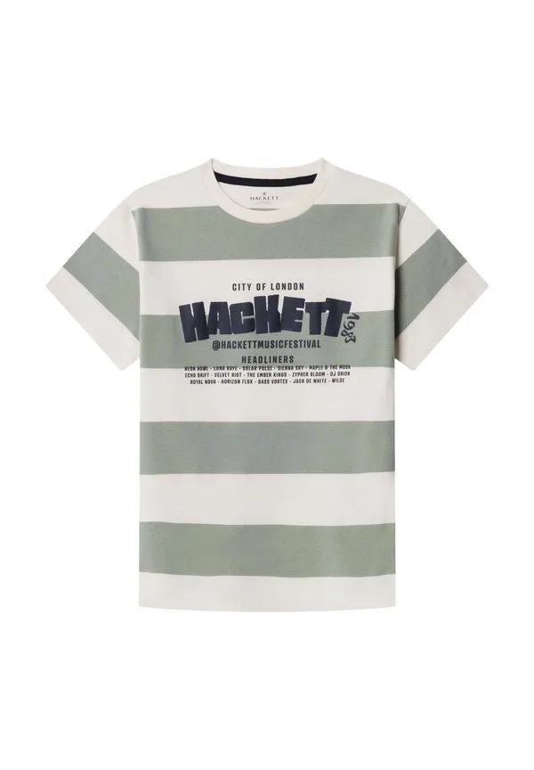 Футболка с полосатым принтом в стиле фестиваля Hackett London, Sage Green