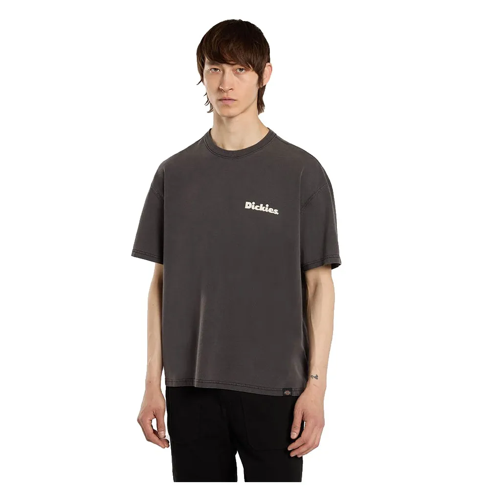 

Футболка Dickies Slayden GD, серый