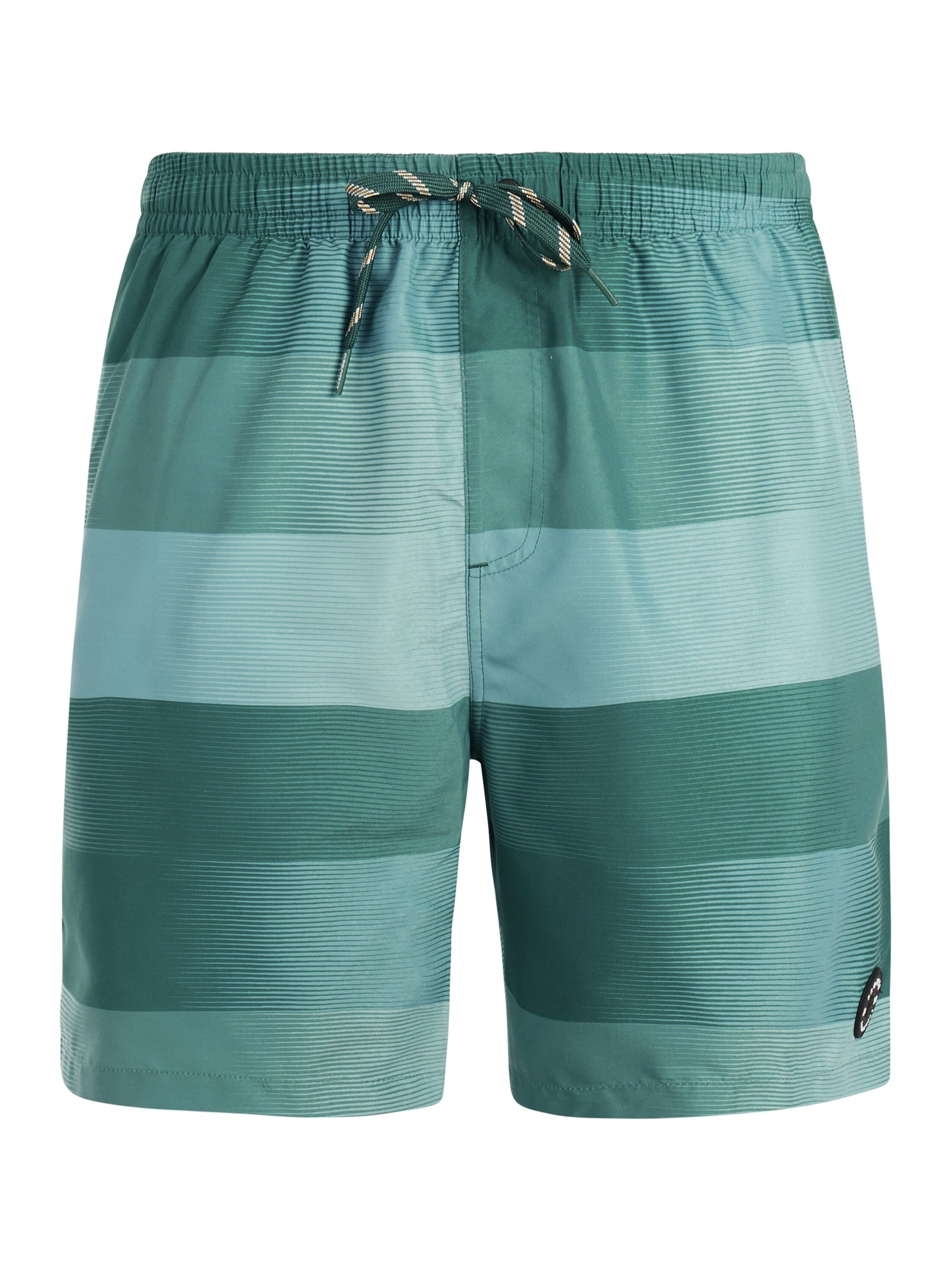 

PROTEST Шорты для серфинга 'PRTLomond' в зеленом цвете, Зеленый, PROTEST Шорты для серфинга 'PRTLomond' в зеленом цвете